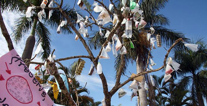 Árvore simboliza falta que meio ambiente faz e pode fazer na nossa vida - Ascom/PMVNI