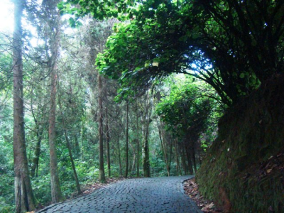 Gramado Inesquecível - Lagar